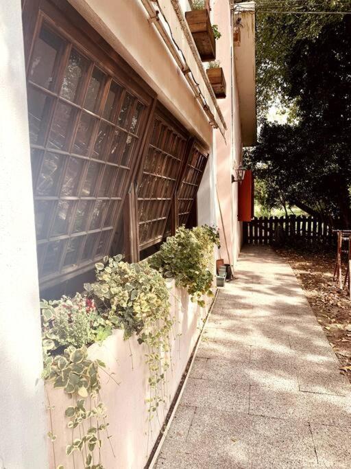 Raffinatezza Rustica Nella Campagna Veneziana Apartment Canton  Екстериор снимка