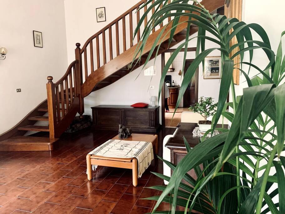 Raffinatezza Rustica Nella Campagna Veneziana Apartment Canton  Екстериор снимка